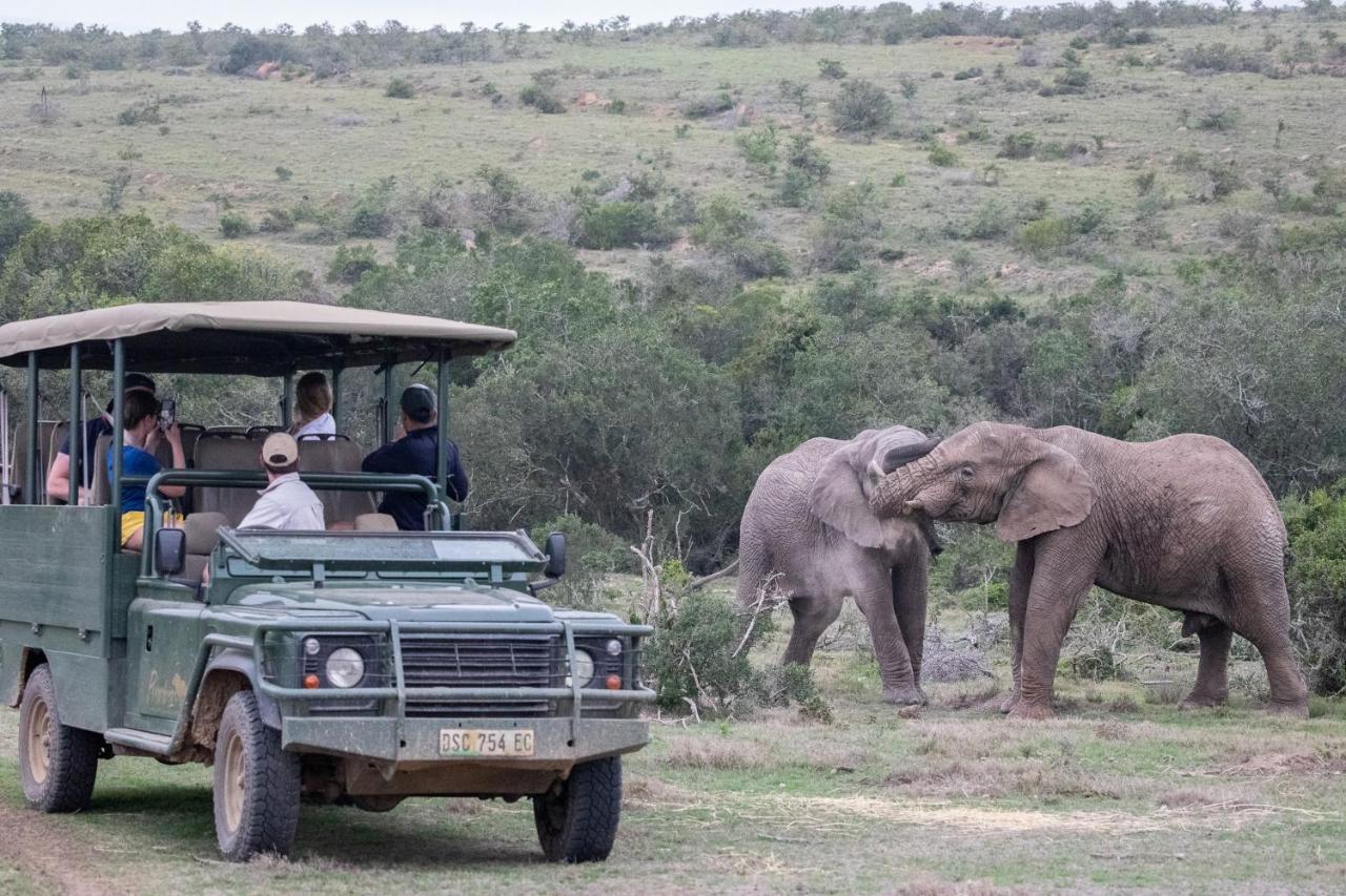 Pumba Private Game Reserve Граъмстаун Екстериор снимка