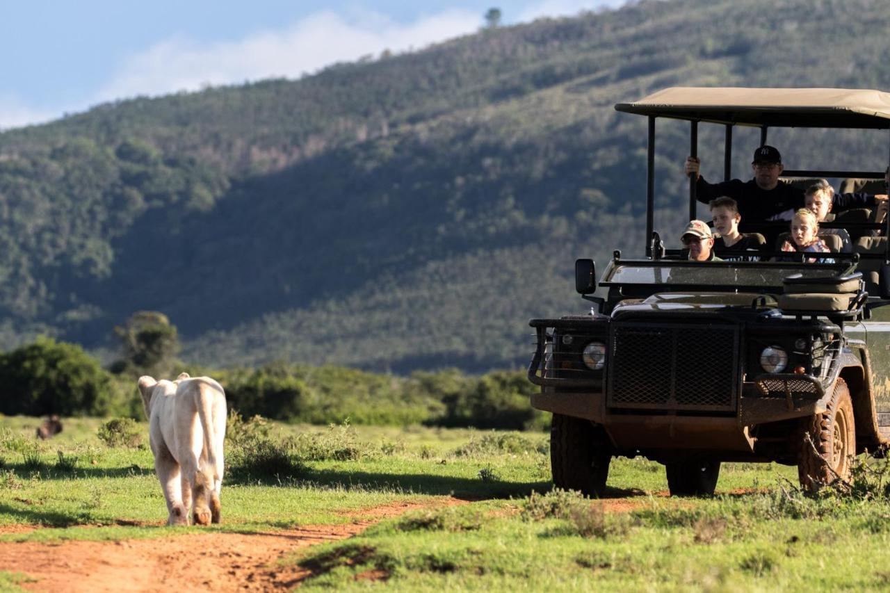 Pumba Private Game Reserve Граъмстаун Екстериор снимка