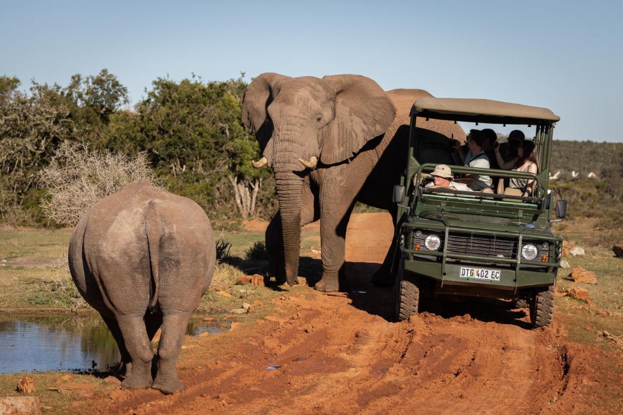 Pumba Private Game Reserve Граъмстаун Екстериор снимка