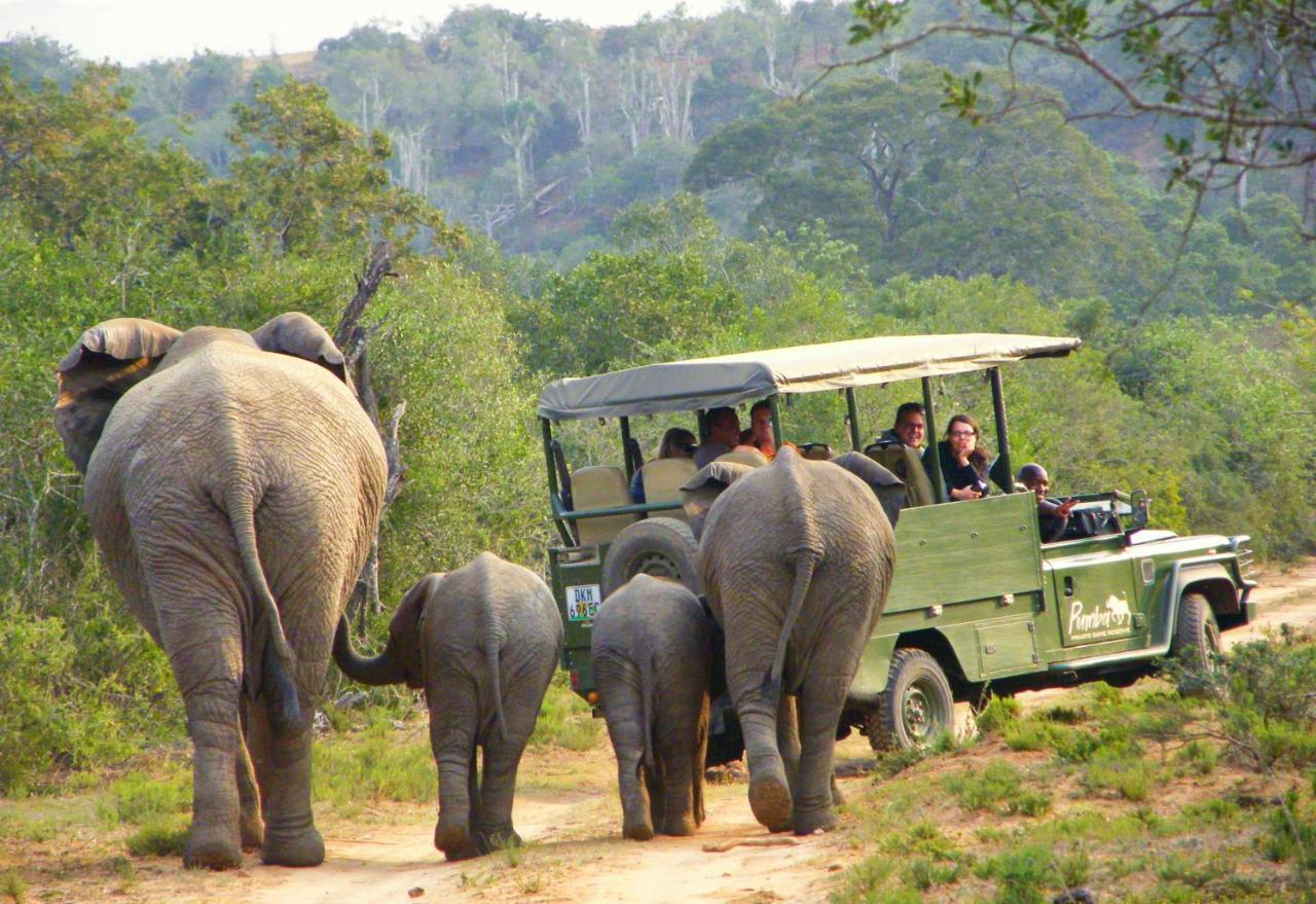 Pumba Private Game Reserve Граъмстаун Екстериор снимка