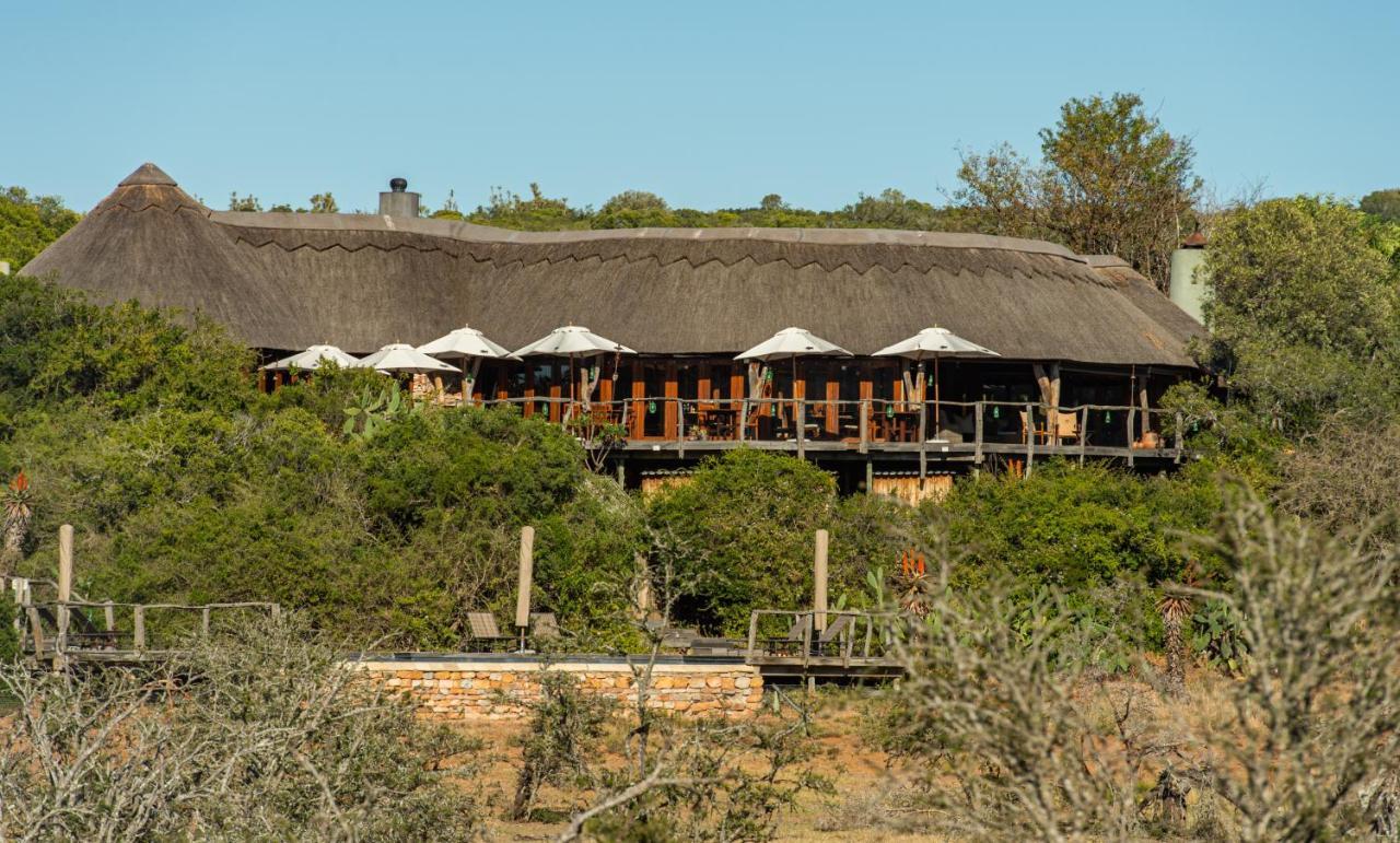 Pumba Private Game Reserve Граъмстаун Екстериор снимка