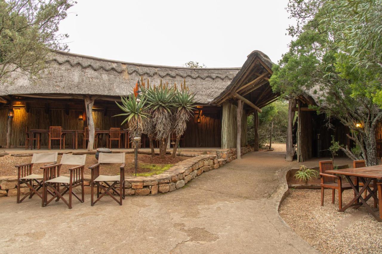 Pumba Private Game Reserve Граъмстаун Екстериор снимка
