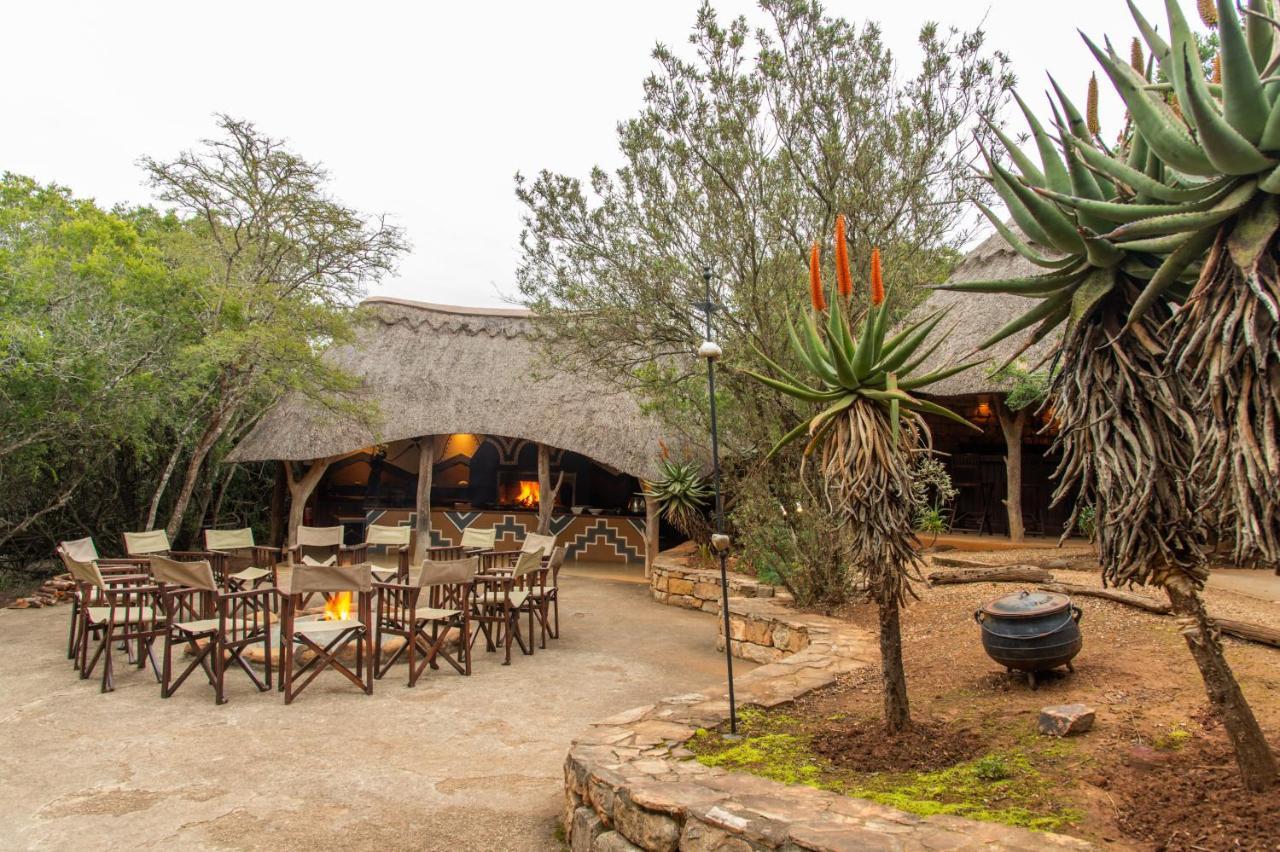 Pumba Private Game Reserve Граъмстаун Екстериор снимка
