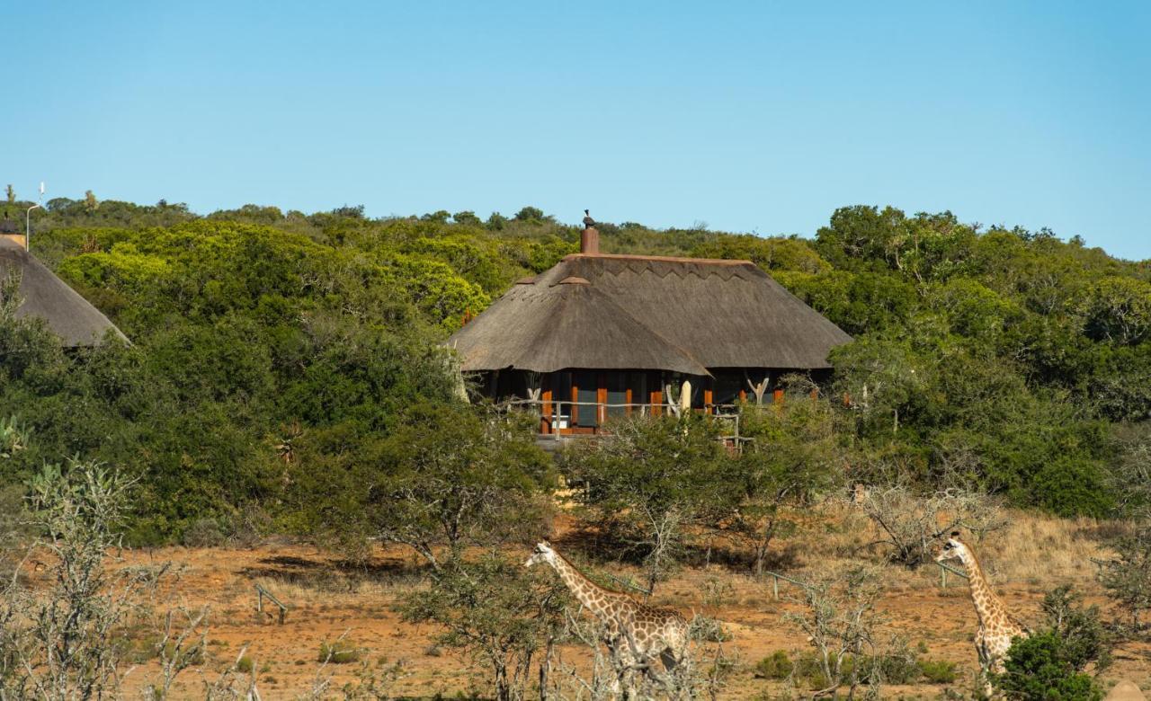 Pumba Private Game Reserve Граъмстаун Екстериор снимка